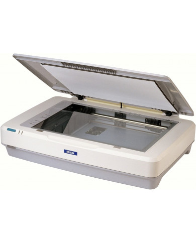 Epson GT-15000 Scanner piano 600 x 1200 DPI  A3 Usb 48 bit - ricondizionato