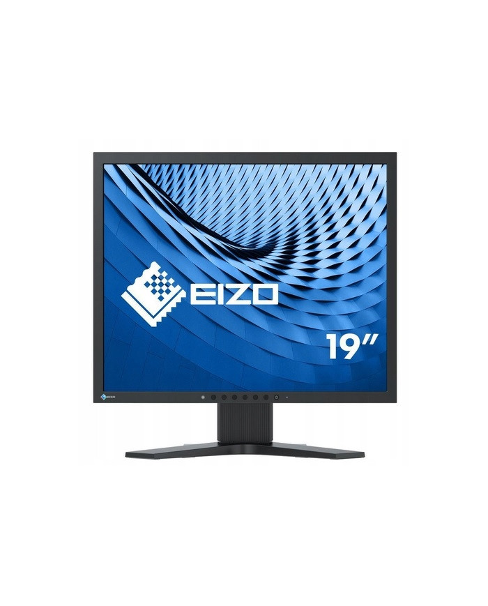Monitor Schermo EIZO FlexScan s1931 19" pollici VGA DVI 1024 x 768 Pixel