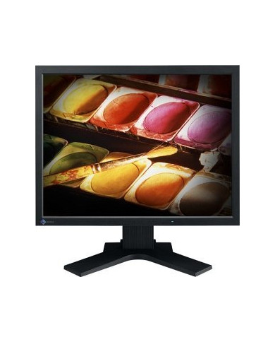 Monitor Schermo Eizo Flexscan S2000 20" pollici VGA DVI 1600 x 1200 - usato