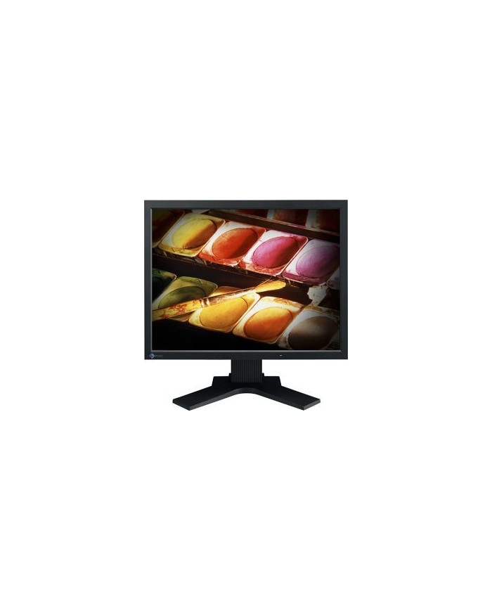 Monitor Schermo Eizo Flexscan S2000 20" pollici VGA DVI 1600 x 1200 - usato Monitor Schermo Eizo Flexscan S2000 20" pollici VGA DVI 1600 x 1200 - usato