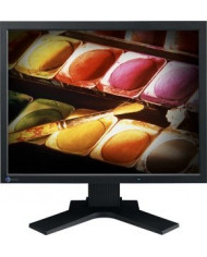 Monitor Schermo Eizo Flexscan S2000 20" pollici VGA DVI 1600 x 1200 - usato Monitor Schermo Eizo Flexscan S2000 20" pollici VGA DVI 1600 x 1200 - usato