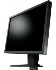 Monitor Schermo Eizo Flexscan S2100 21" pollici VGA DVI 1600x1200 - usato Monitor Schermo Eizo Flexscan S2100 21" pollici VGA DVI 1600x1200 - usato