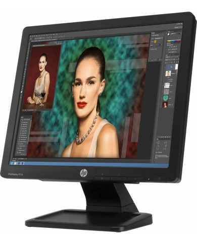 Monitor Schermo HP ProDisplay P17A 17" pollici VGA 1280x1024 usato